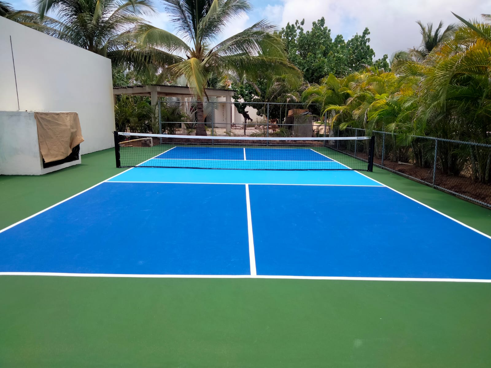 Cancha de pickleball llave en mano en Playa del Carmen con palmeras y pintura azul Laykold